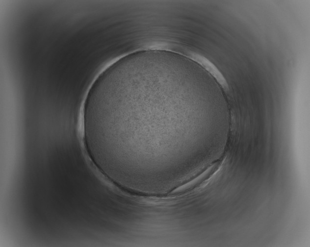 X0000102771036200808181125