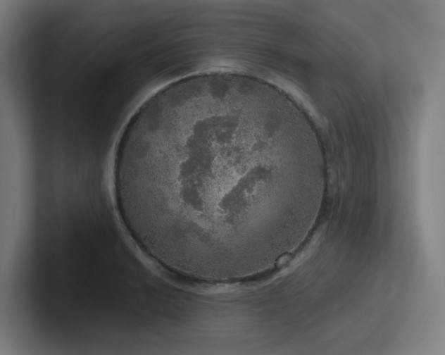 X0000102771038200808181125