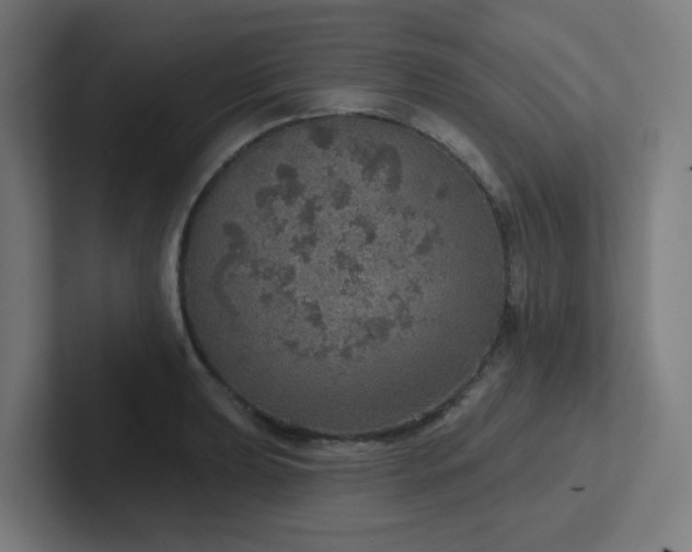 X0000102771039200808181125