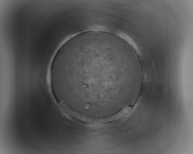 X0000102771040200808181125