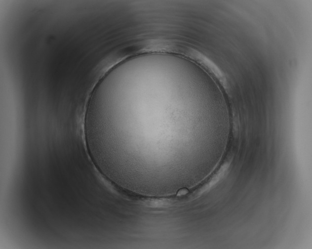 X0000102771041200808181125