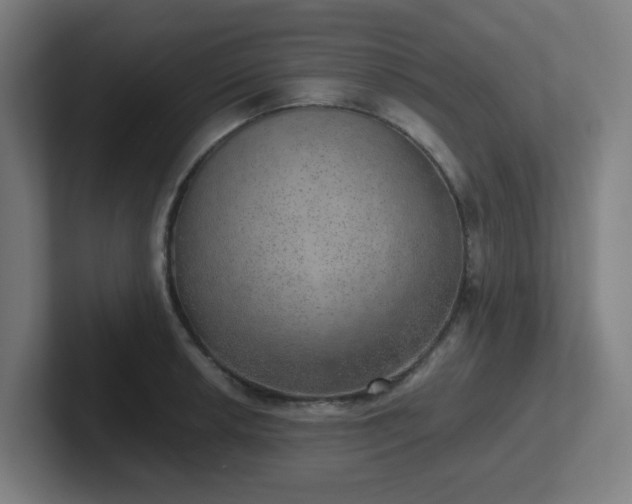 X0000102771042200808181125