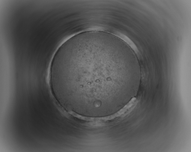 X0000102771044200808181125