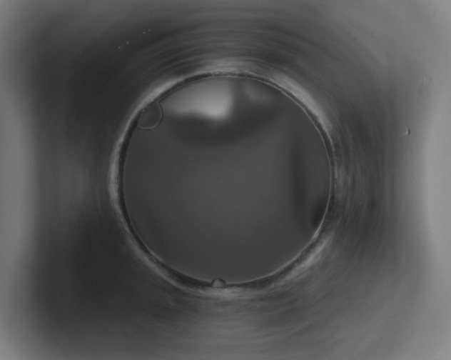 X0000102771045200808181125