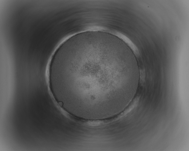 X0000102771046200808181125