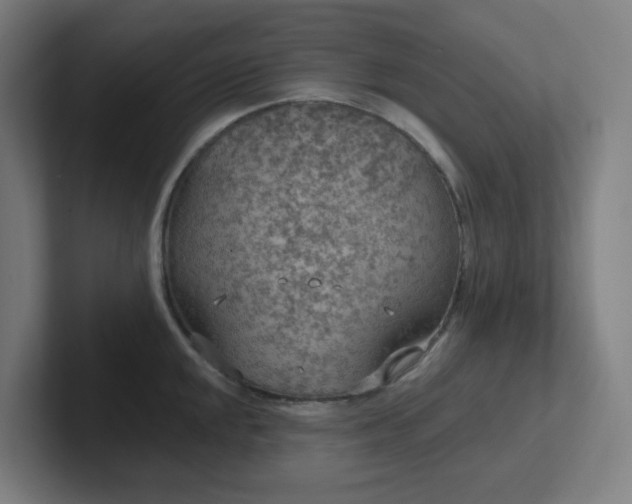 X0000102771048200808181125