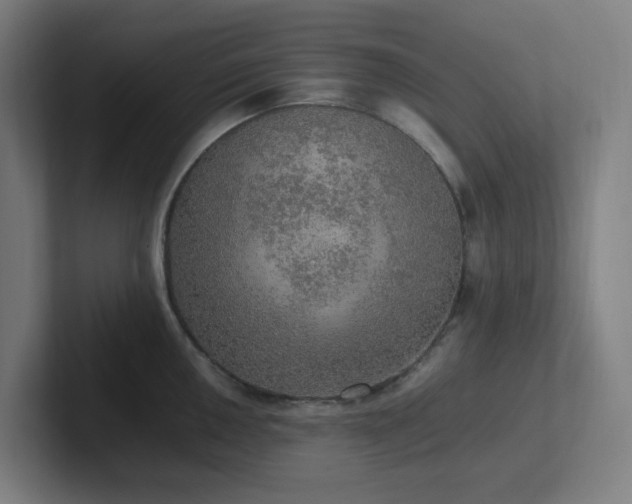 X0000102771050200808181125