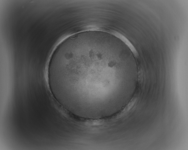 X0000102771051200808181125