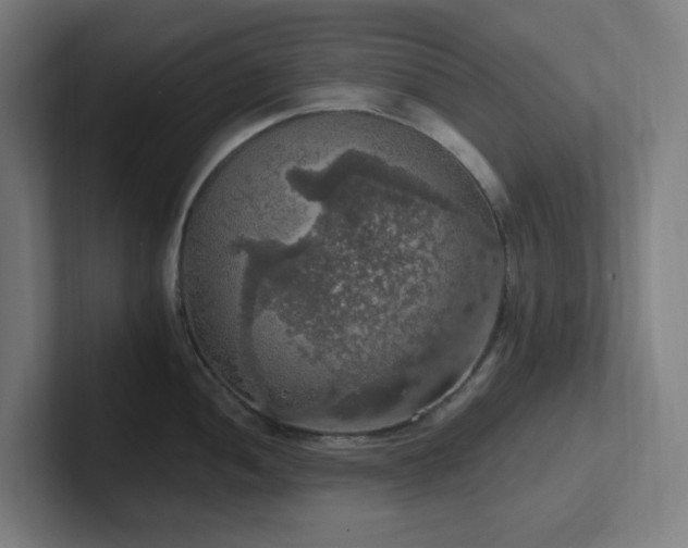 X0000102771052200808181125