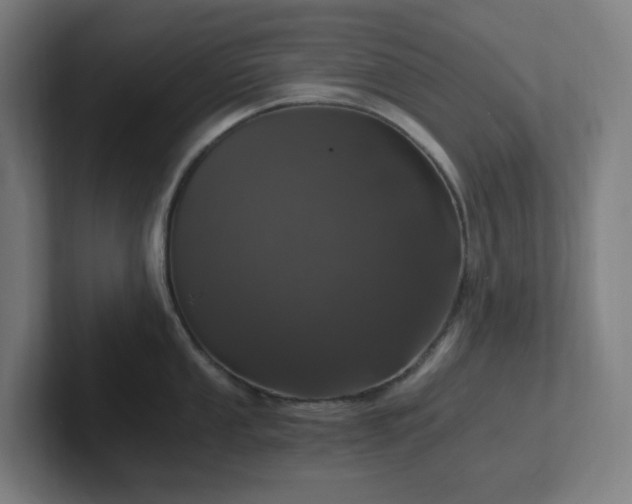 X0000102771053200808181125