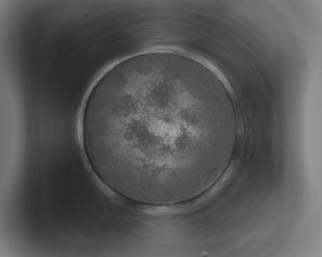 X0000102771054200808181125