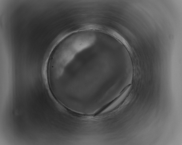 X0000102771055200808181125