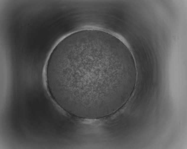 X0000102771056200808181125