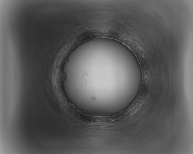 X0000102771057200808181125