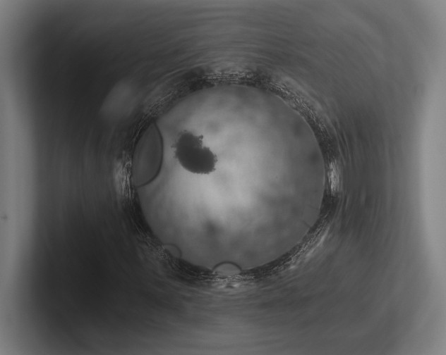 X0000102771059200808181125