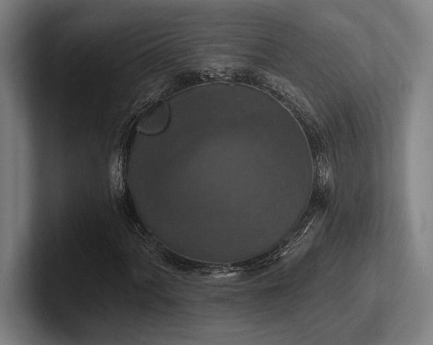 X0000102771060200808181125