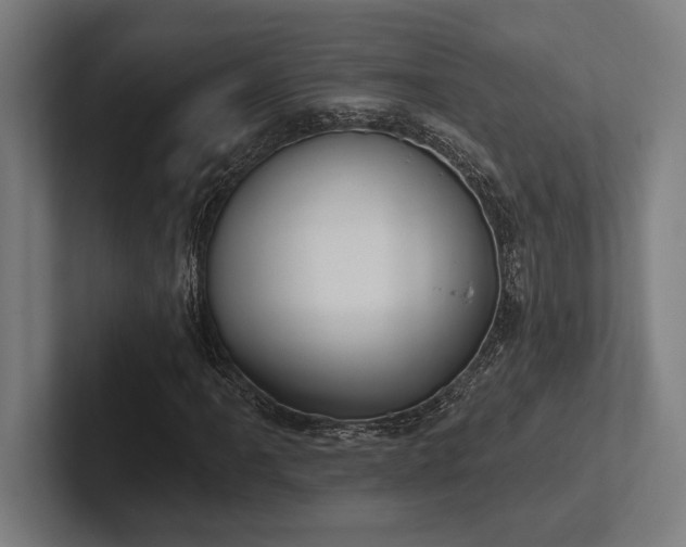 X0000102771061200808181125