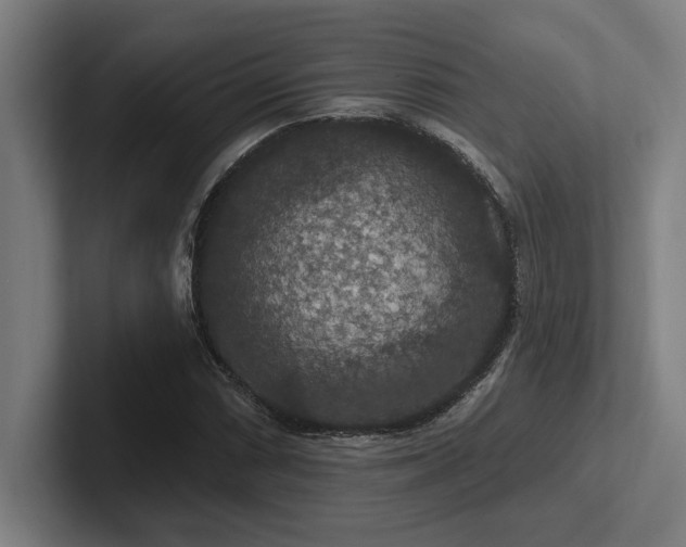 X0000102771066200808181125