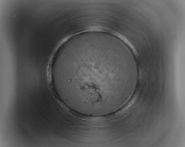 X0000102771067200808181124