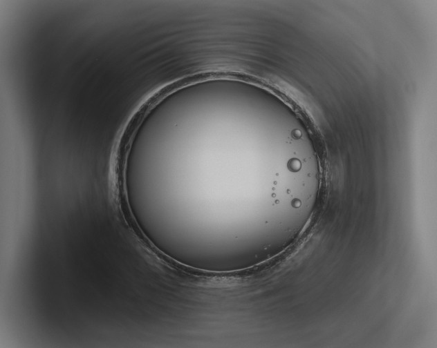 X0000102771068200808181124