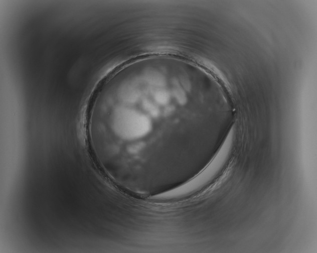 X0000102771071200808181124