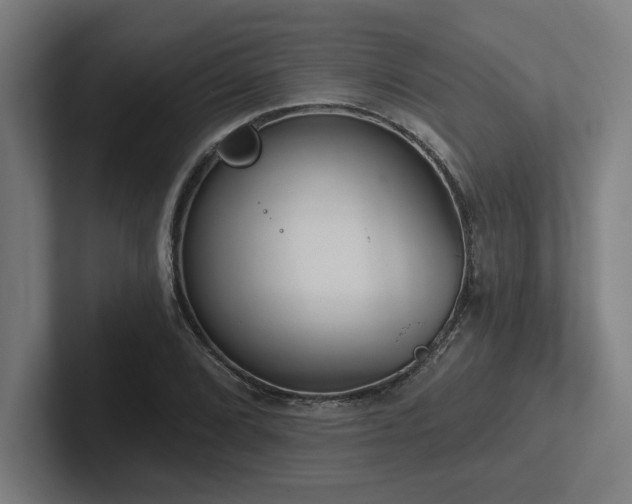 X0000102771072200808181124