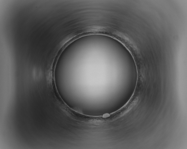 X0000102771073200808181124