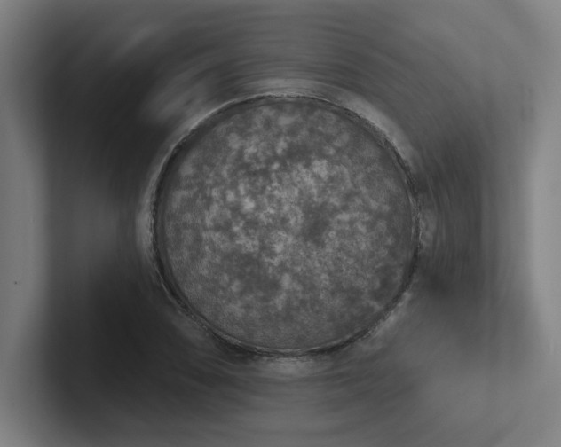 X0000102771074200808181124