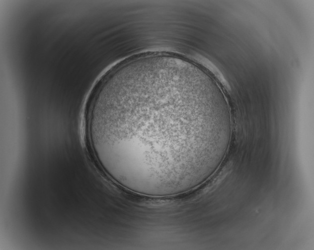 X0000102771076200808181124