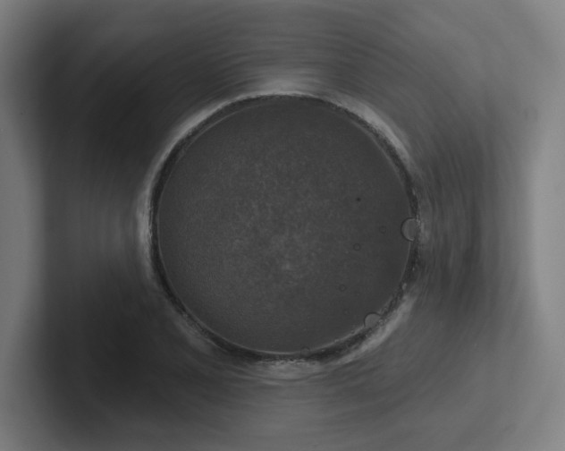 X0000102771077200808181124