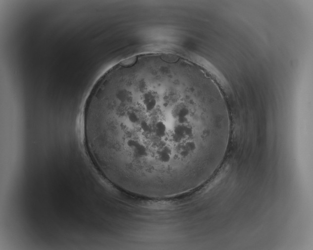 X0000102771079200808181124