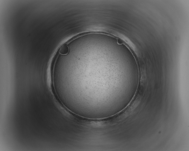 X0000102771080200808181124