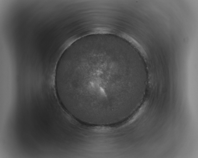 X0000102771081200808181124