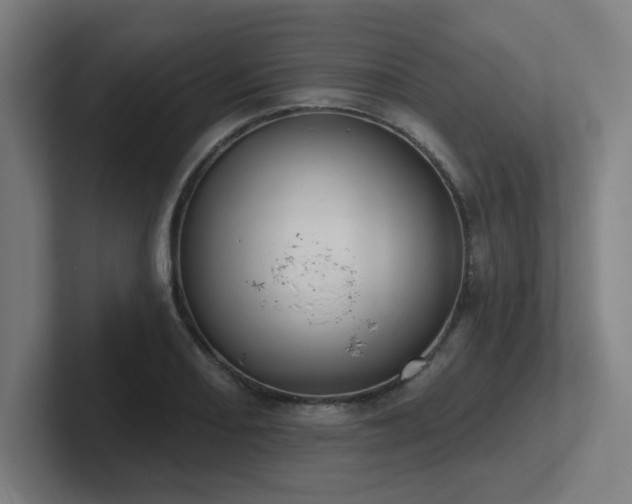 X0000102771082200808181124