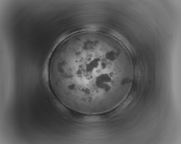 X0000102771083200808181124