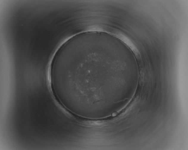 X0000102771084200808181124