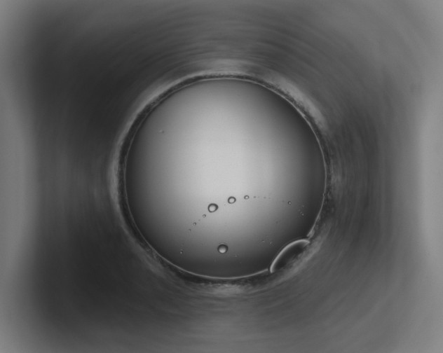 X0000102771085200808181124