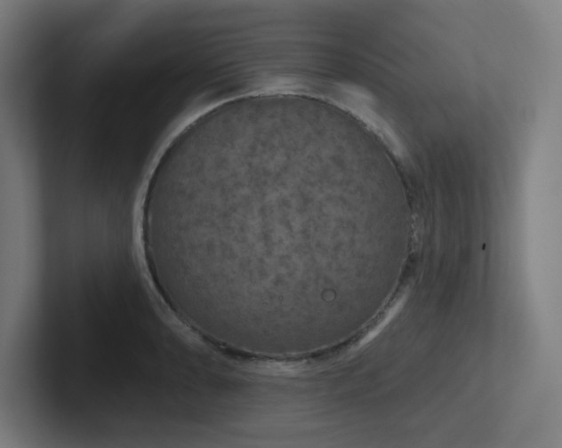 X0000102771086200808181124