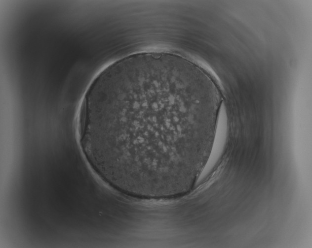 X0000102771087200808181124