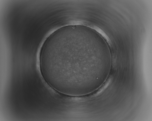 X0000102771088200808181124