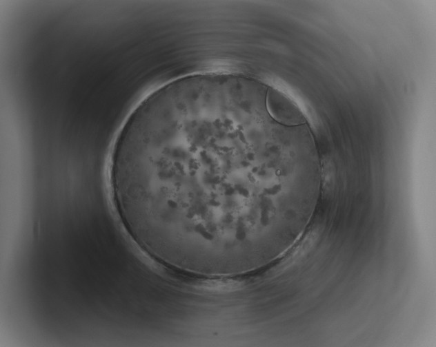 X0000102771091200808181124