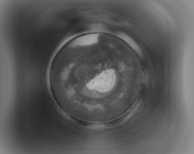 X0000102771094200808181124