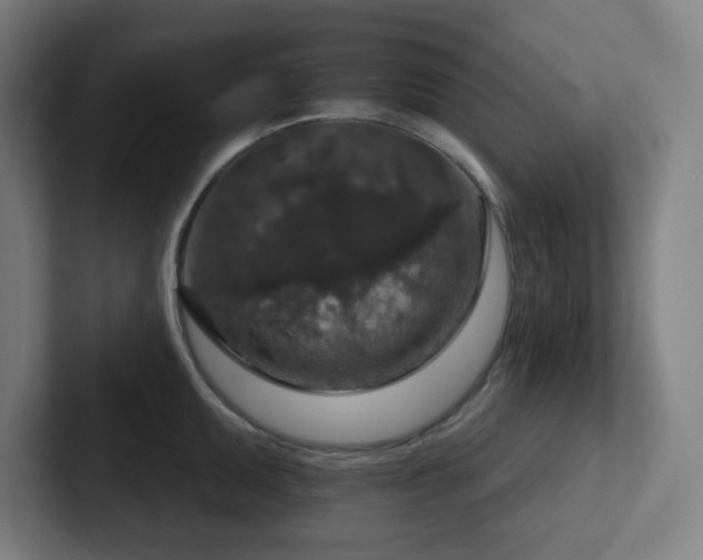 X0000102771095200808181124