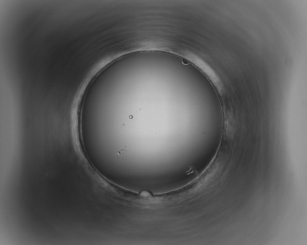 X0000102771096200808181124