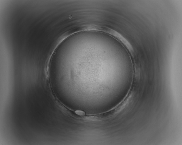 X0000102771097200808181124