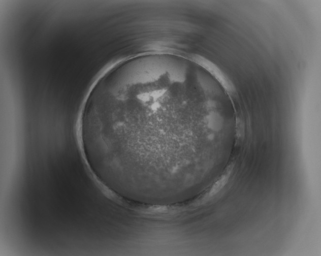 X0000102771098200808181124