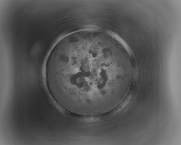 X0000102771099200808181124