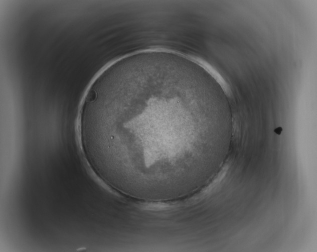 X0000102771100200808181124