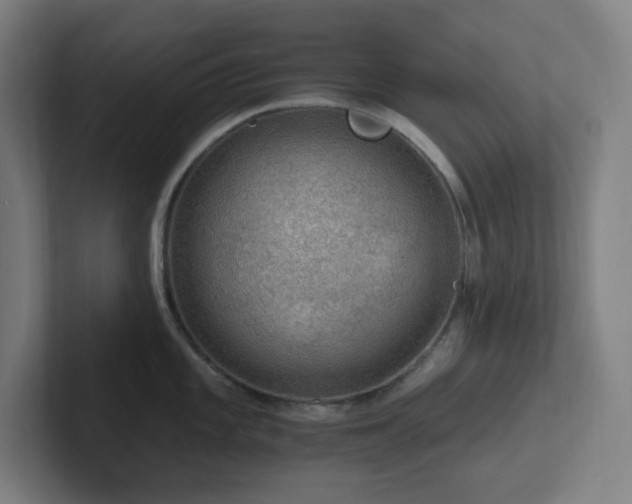 X0000102771101200808181124