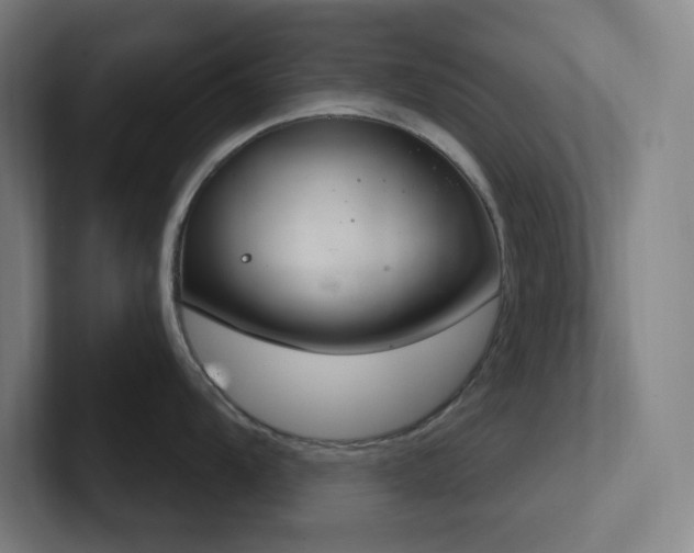 X0000102771104200808181124